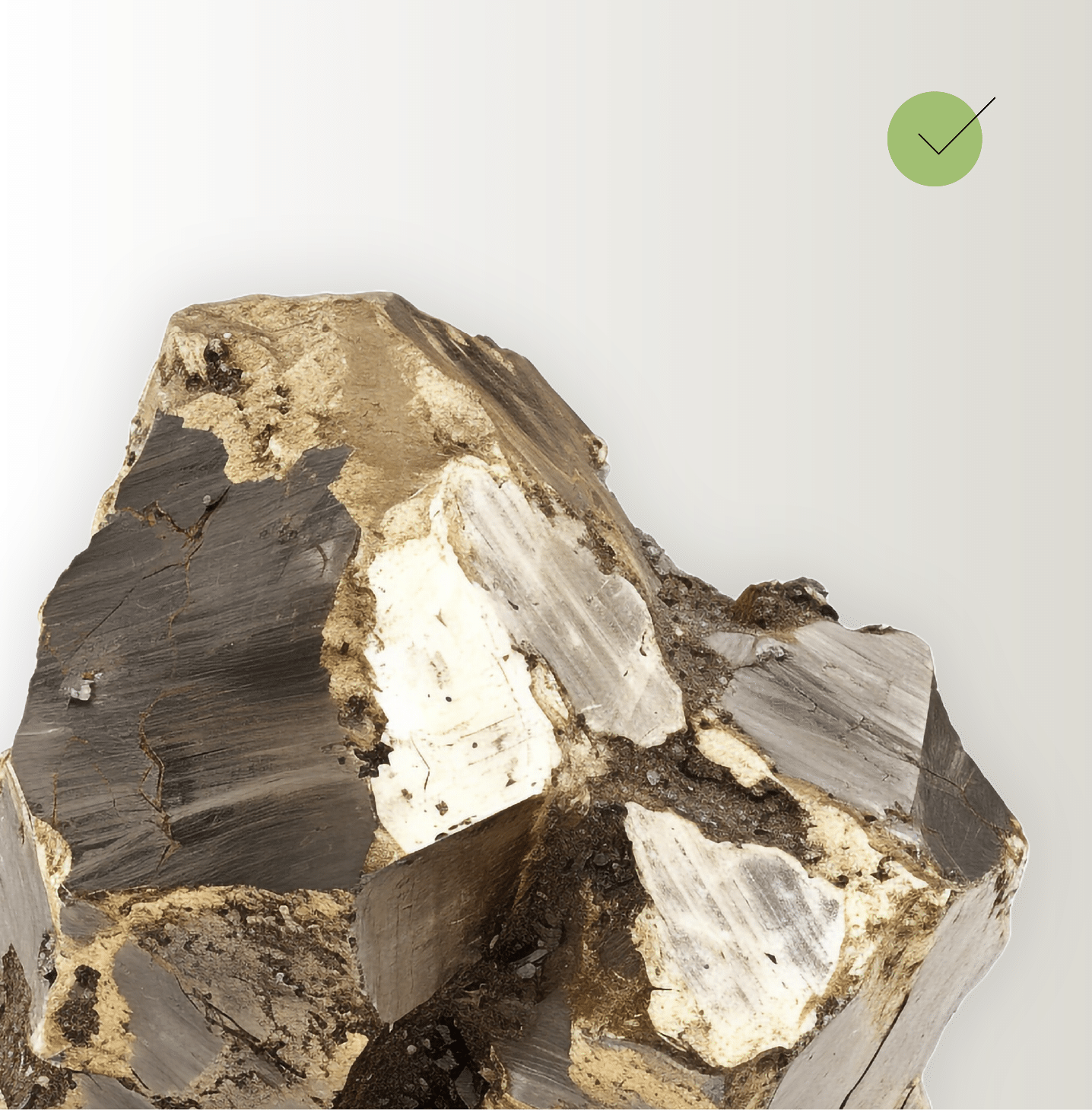 Brez umetnih sladil in sladkorja