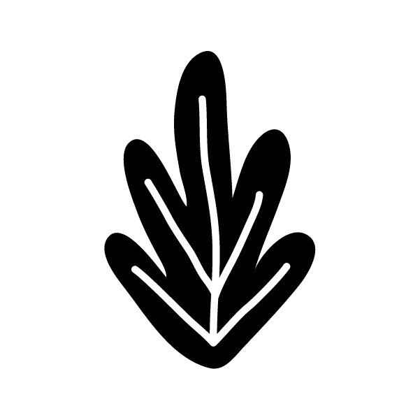 Brez umetnih sladil in sladkorja