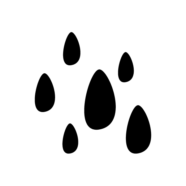 Brez glutena in gensko spremenjenih organizmov